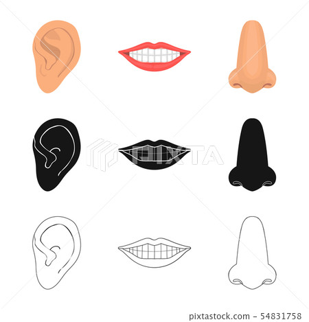 Vector design of body and part sign. Collection of body and anatomy stock vector illustration. 54831758