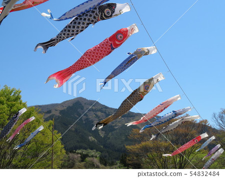 鯉魚旗1 54832484
