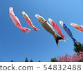 鯉魚旗3 54832488