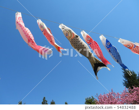 鯉魚旗3 54832488
