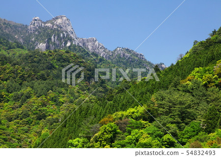 Ooyama, fresh green 54832493