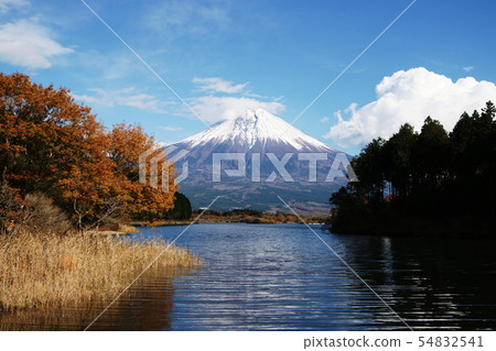 Mt. Fuji Lake Tanukiko Mt. Fuji Lake Tanukiko Mt. Fuji Lake Tanukiko Mt. Fuji Lake Tanukiko 54832541