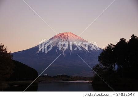 富士湖Tanukiko山富士湖Tanukiko 富士湖Tanukiko山富士湖Tanukiko 54832547