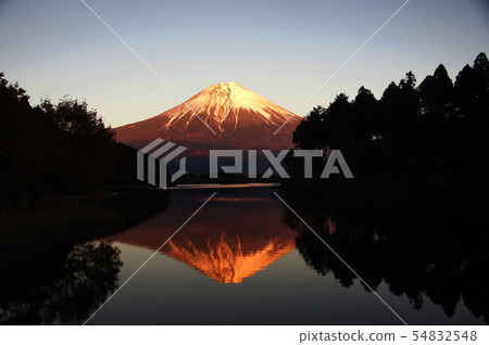 富士湖Tanukiko山富士湖Tanukiko 富士湖Tanukiko山富士湖Tanukiko 54832548