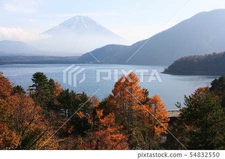 Mt. Fuji Lake Motosuko Mt. Fuji Mt. Fuji Lake Motosuko Mt. Fuji 54832550