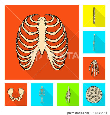 Isolated object of bone and skeleton icon. Set of bone and human stock vector illustration. Isolated object of bone and skeleton icon. Set of bone and human stock vector illustration. 54833531