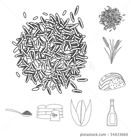 Vector design of diet and cooking logo. Collection of diet and organic stock vector illustration. Vector design of diet and cooking logo. Collection of diet and organic stock vector illustration. 54833668