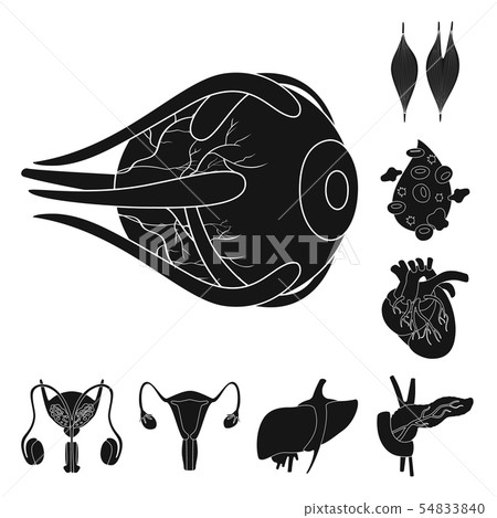 Vector design of research and laboratory symbol. Set of research and organ vector icon for stock. Vector design of research and laboratory symbol. Set of research and organ vector icon for stock. 54833840