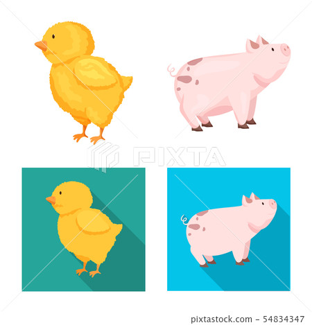 Vector illustration of breeding and kitchen symbol. Set of breeding and organic stock vector 54834347