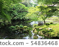 Garden 54836468