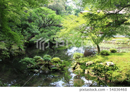 Garden Garden 54836468