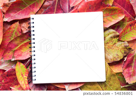 White notebook album on yellow red autumn White notebook album on yellow red autumn 54836801
