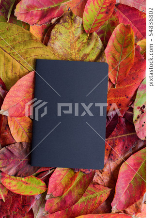 Closed black notebook album on yellow red autumn Closed black notebook album on yellow red autumn 54836802