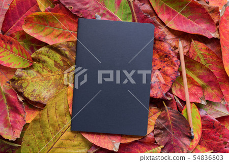 Closed black notebook album on yellow red autumn 54836803