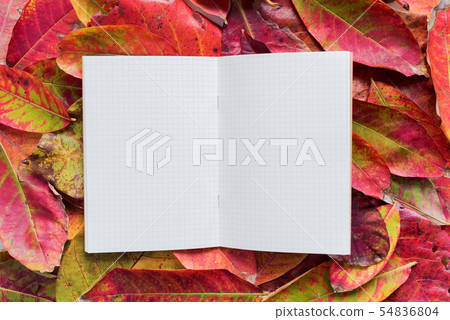 Openad notebook on yellow red autumn leaves. Openad notebook on yellow red autumn leaves. 54836804