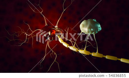 3d Illustration of Neuron anatomy, infographic - Stock Illustration ...