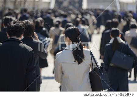 The landscape of the university student who wants to work 54836979