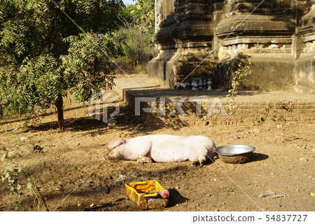 Bagan of Myanmar 54837727