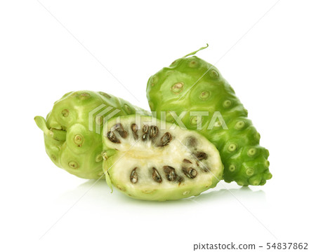 Great morinda isolated on white background Great morinda isolated on white background 54837862