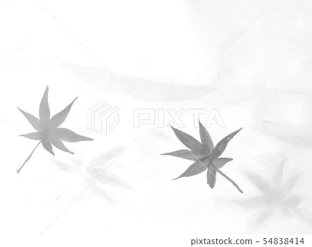 Maple and its shadow (hand-drawn illustration of ink) Maple and its shadow (hand-drawn illustration of ink) 54838414