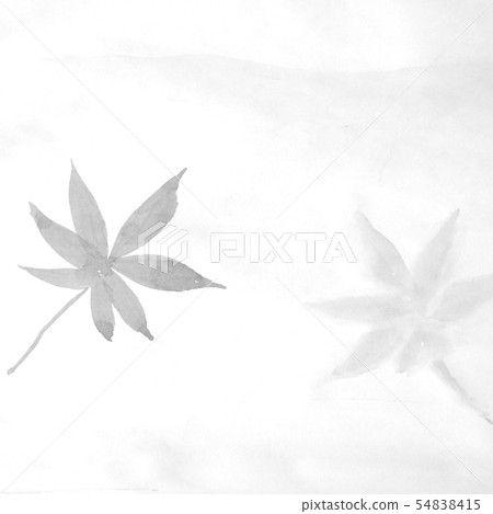 Maple and its shadow (hand-drawn illustration of ink) 54838415