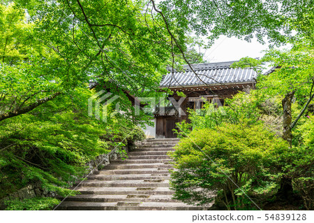 京都比沙門堂門口屋久門 54839128