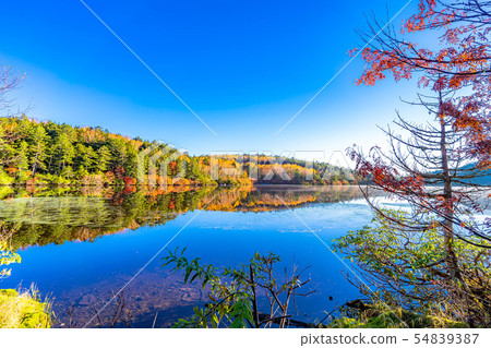 Autumn white pond in the morning sunrise [Nagano Prefecture] 54839387