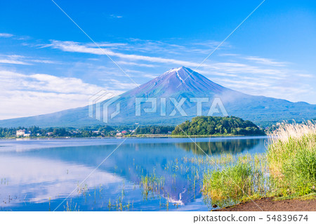 Mt. Fuji seen from Lake Kawaguchi Oishi Park (Yamanashi Prefecture) 54839674