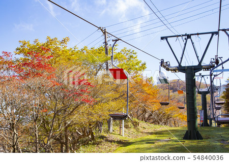 Gozaisho索道觀光電梯 54840036