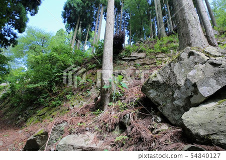 Wakasa Onigashiro Wakasa Onigashiro 54840127