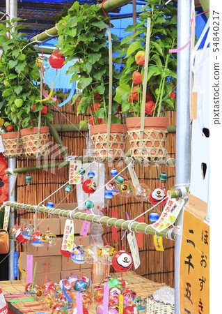 Asakusa Honzuki City 7月 Asakusa Honzuki City 7月 54840217