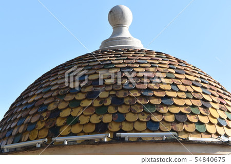 Monaco Rose Garden Rose 54840675