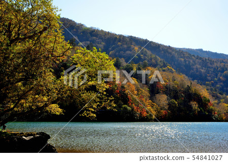 Oku Nikko, autumn leaves of Marunuma Oku Nikko, autumn leaves of Marunuma 54841027