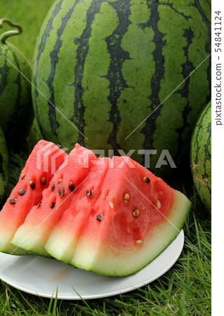 Freshly picked watermelon Freshly picked watermelon 54841124