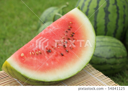Watermelon just harvested Watermelon just harvested 54841125