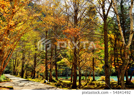 Oku Nikko, autumn leaves of Marunuma Oku Nikko, autumn leaves of Marunuma 54841492