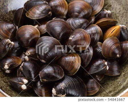 Shijimi Hokkaido Lake Abashiri Lake Shijimi Hokkaido Lake Abashiri Lake 54841667