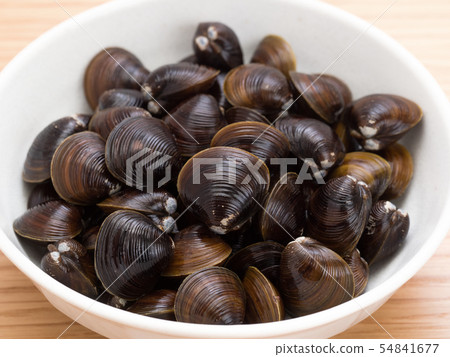 Shijimi Hokkaido Lake Abashiri Lake Shijimi Hokkaido Lake Abashiri Lake 54841677