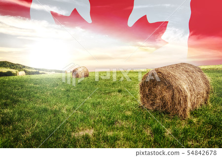 Canadian farm field 54842678