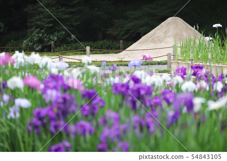 Kamakura Akizuki-in Temple 54843105