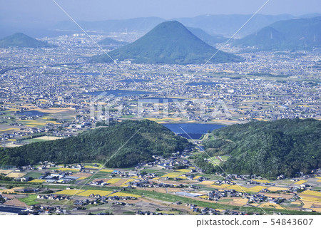 The wheat fall Sanuki plains and Iinoyama 54843607