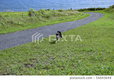 Yakiri島的惠比壽 Yakiri島的惠比壽 54843649