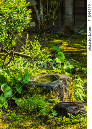 青苔,筑波,日本庭園,茶室,花園,日式花園,茶道,感受歷史,流水,日式,竹子,漣漪, 青苔,筑波,日本庭園,茶室,花園,日式花園,茶道,感受歷史,流水,日式,竹子,漣漪, 54844339