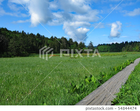 Ozenuma at the end of summer 54844474