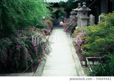 Toko-in Temple Osaka Toko-in Temple Osaka 54844481