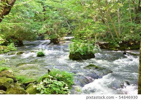 Oirase流 Oirase流 54846930