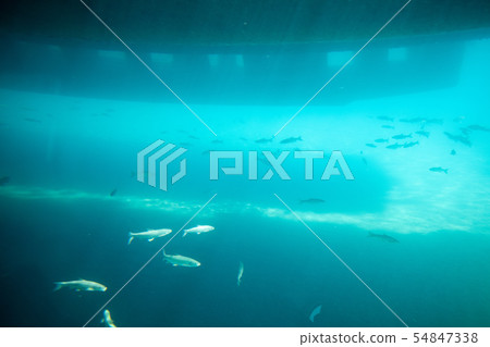 Lake Shikotsu in Hokkaido 54847338