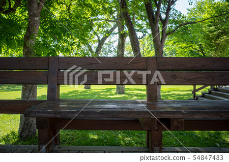 在支笏湖公園 54847483