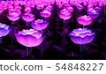 Decoration of Colorful Flower Lights 54848227
