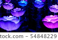 Decoration of Colorful Flower Lights 54848229